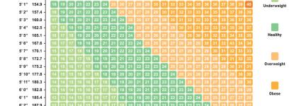 Body mass index chart